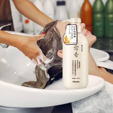 🌸 Diryting – Japanese Amino Acid Shampoo