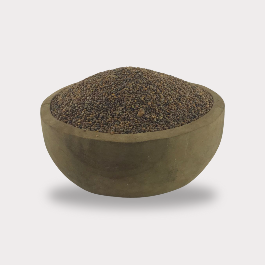 🌱 Graines De Roquette - بذور الجرجير (100g) - Bayt Alhekma Officiel