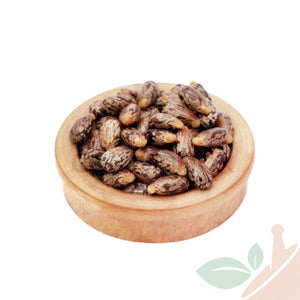 Ricin - خروع (100g) - Bayt Alhekma Officiel