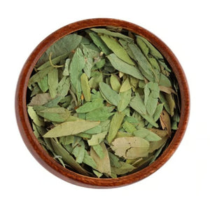 🌿 Plante Zriga- عشبة الزريقة أوراق