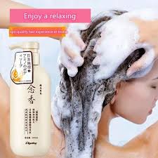 🌸 Diryting – Japanese Amino Acid Shampoo