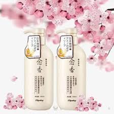 🌸 Diryting – Japanese Amino Acid Shampoo