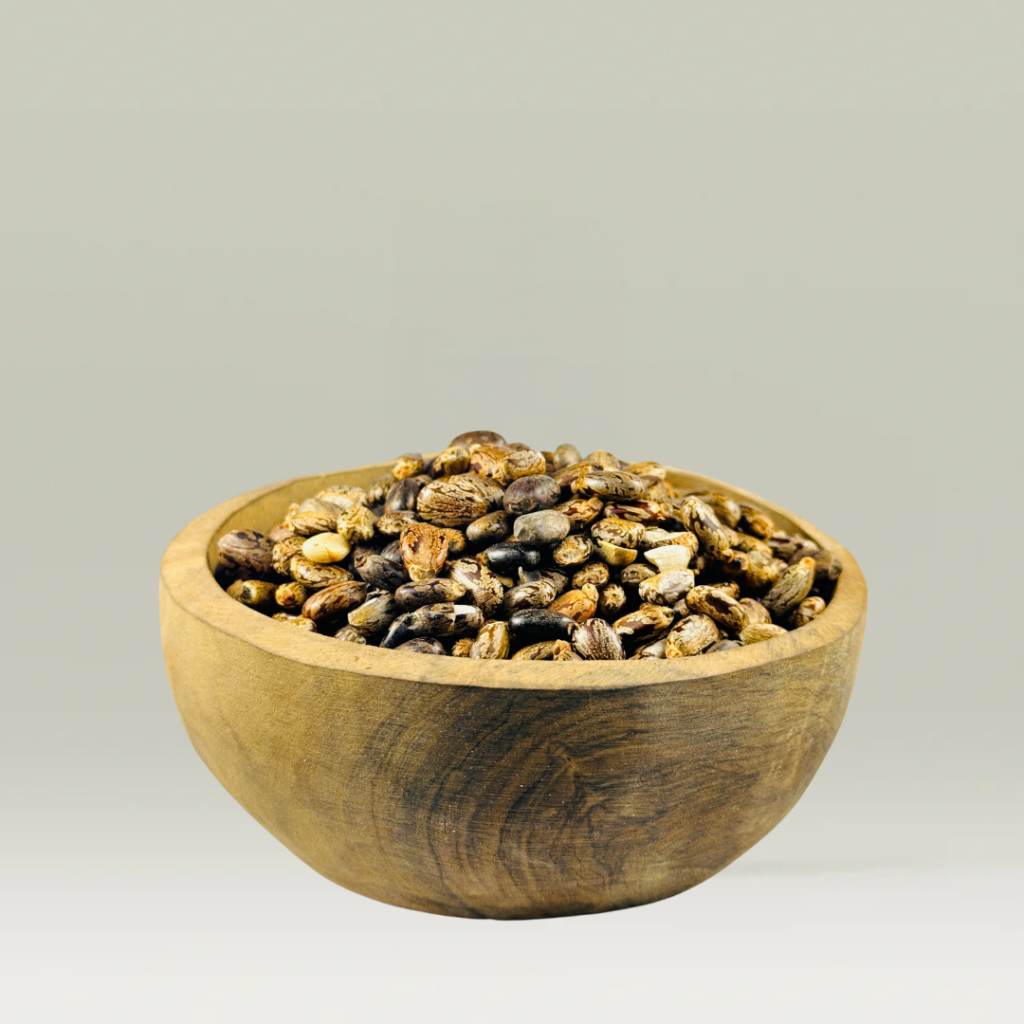 RICIN 100g- بذور الخروع