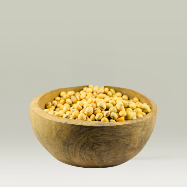 LES GRAINES DE SOJA 100g- فول الصويا