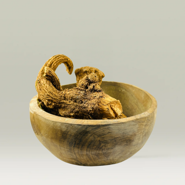 عود القسط الهندي 100 غ