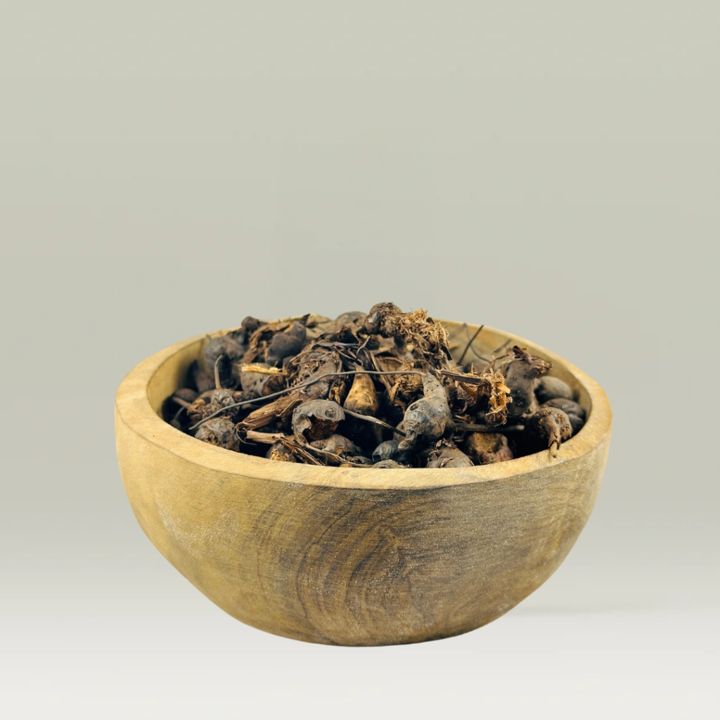 CYPERUS 50g- نبات السعد